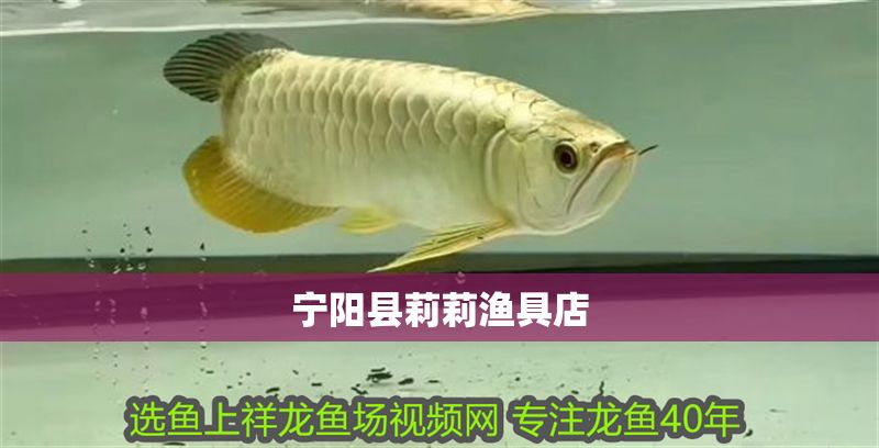 寧陽縣莉莉漁具店 寧陽縣莉莉漁具店 全國水族館企業名錄 第1張
