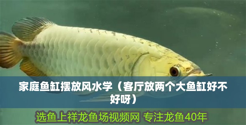 家庭魚缸擺放風水學（客廳放兩個大魚缸好不好呀）