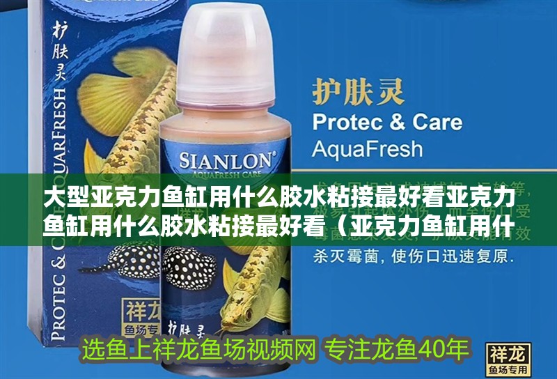 大型亞克力魚缸用什么膠水粘接最好看亞克力魚缸用什么膠水粘接最好看（亞克力魚缸用什么膠水粘接最好看）