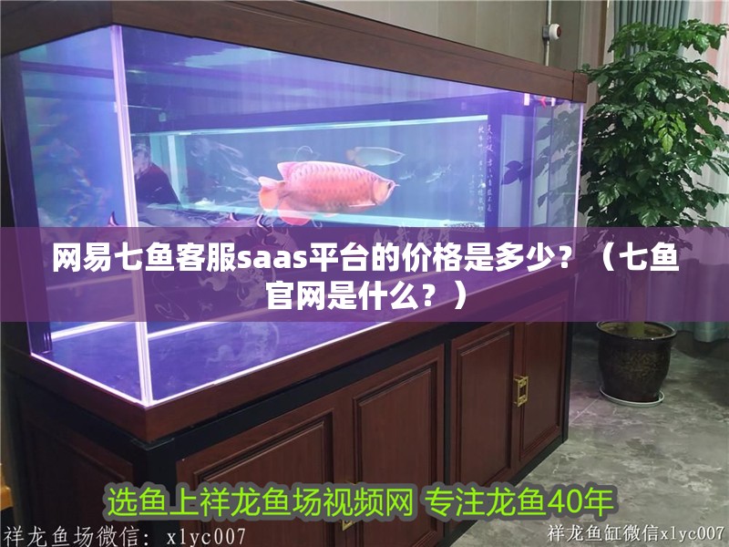 網易七魚客服saas平臺的價格是多少？（七魚官網是什么？）
