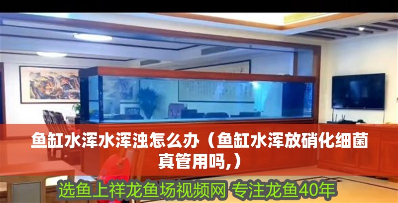 魚缸水渾水渾濁怎么辦（魚缸水渾放硝化細菌真管用嗎,）