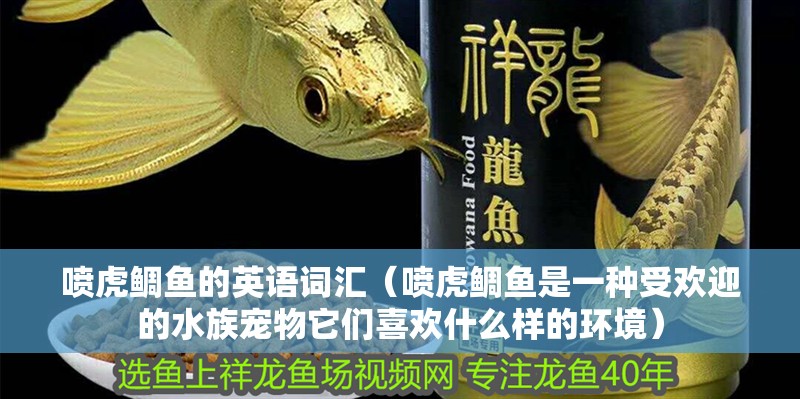 噴虎鯛魚的英語詞匯（噴虎鯛魚是一種受歡迎的水族寵物它們喜歡什么樣的環境）