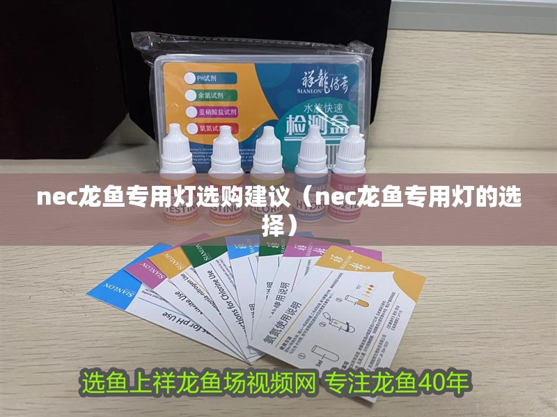 nec龍魚專用燈選購建議（nec龍魚專用燈的選擇）