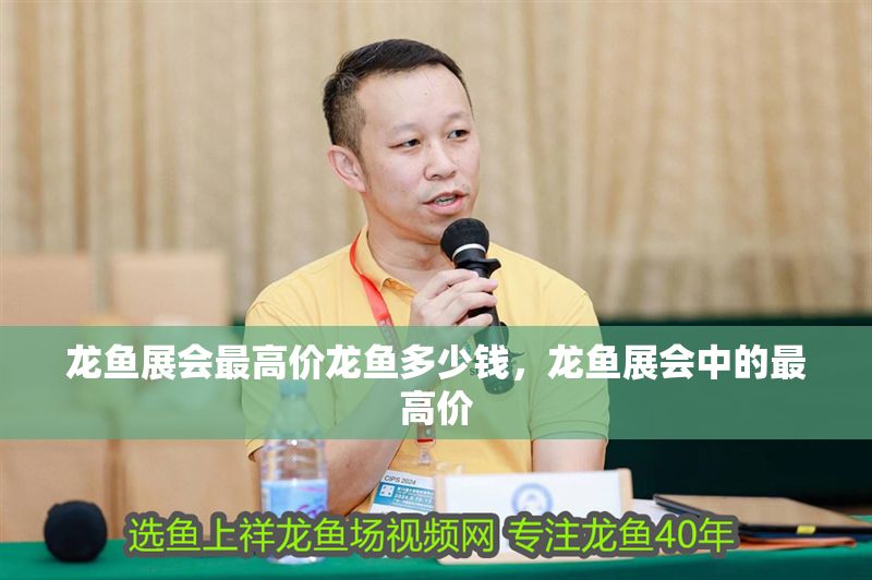 龍魚展會最高價(jià)龍魚多少錢，龍魚展會中的最高價(jià)