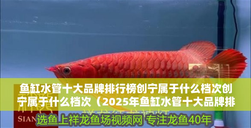 魚缸水管十大品牌排行榜創(chuàng)寧屬于什么檔次創(chuàng)寧屬于什么檔次（2025年魚缸水管十大品牌排行榜創(chuàng)寧屬于什么檔次）