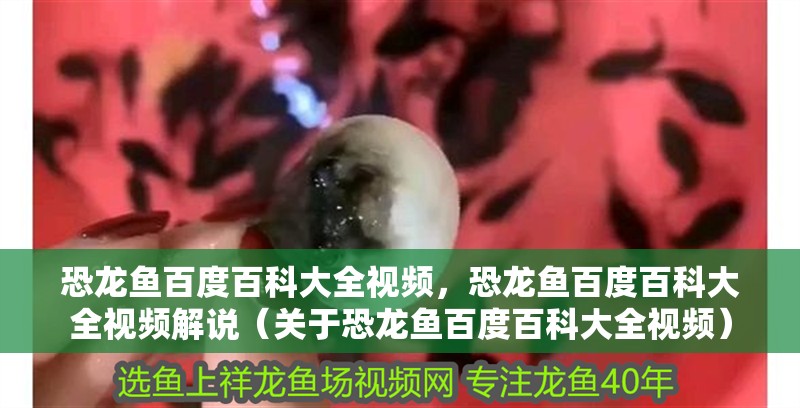 恐龍魚百度百科大全視頻，恐龍魚百度百科大全視頻解說（關于恐龍魚百度百科大全視頻）