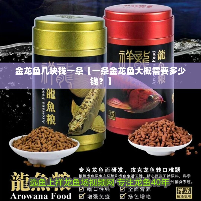 金龍魚幾塊錢一條【一條金龍魚大概需要多少錢？】