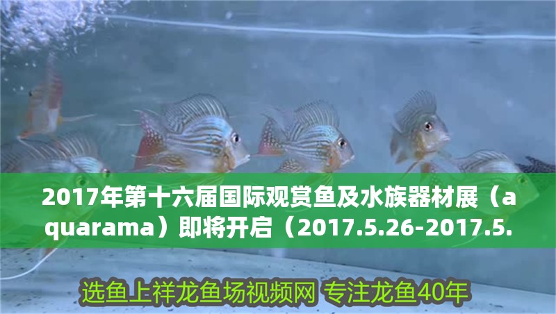 2017年第十六屆國際觀賞魚及水族器材展（aquarama）即將開啟（2017.5.26-2017.5.26-2017.5.26-2017.5.26）