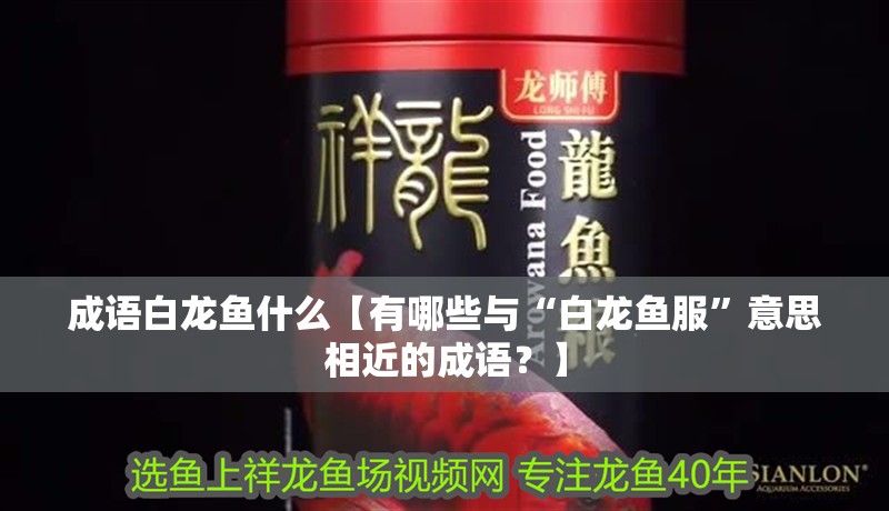 成語白龍魚什么【有哪些與“白龍魚服”意思相近的成語？】