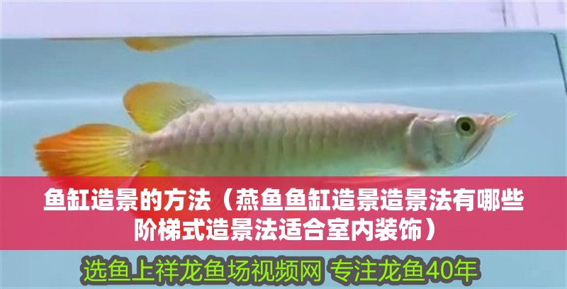 魚缸造景的方法（燕魚魚缸造景造景法有哪些階梯式造景法適合室內(nèi)裝飾）