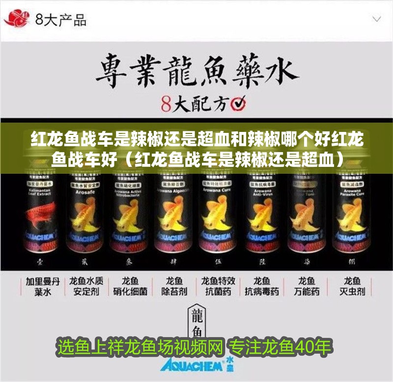 紅龍魚戰(zhàn)車是辣椒還是超血和辣椒哪個(gè)好紅龍魚戰(zhàn)車好（紅龍魚戰(zhàn)車是辣椒還是超血）