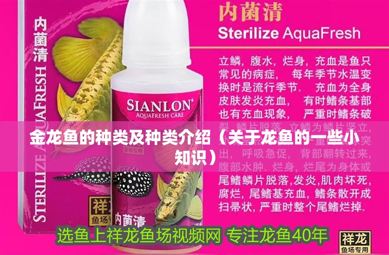 金龍魚的種類及種類介紹（關于龍魚的一些小知識）