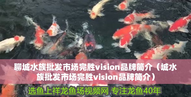 <strong><mark>聊城</mark></strong>水族批發(fā)市場(chǎng)完勝vision品牌簡介（城水族批發(fā)市場(chǎng)完勝vision品牌簡介）