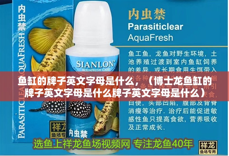 魚缸的牌子英文字母是什么，（博士龍魚缸的牌子英文字母是什么牌子英文字母是什么）