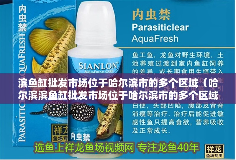 濱魚缸批發市場位于哈爾濱市的多個區域（哈爾濱濱魚缸批發市場位于哈爾濱市的多個區域其中較為集中的地點）