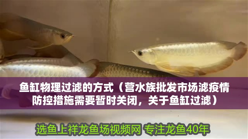 魚缸物理過濾的方式（營水族批發市場濾疫情防控措施需要暫時關閉，關于魚缸過濾）