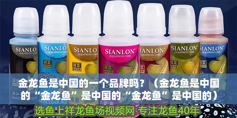 金龍魚是中國的一個品牌嗎？（金龍魚是中國的“金龍魚”是中國的“金龍魚”是中國的）