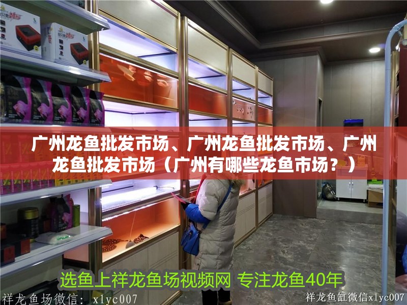 廣州龍魚批發(fā)市場、廣州龍魚批發(fā)市場、廣州龍魚批發(fā)市場（廣州有哪些龍魚市場？）
