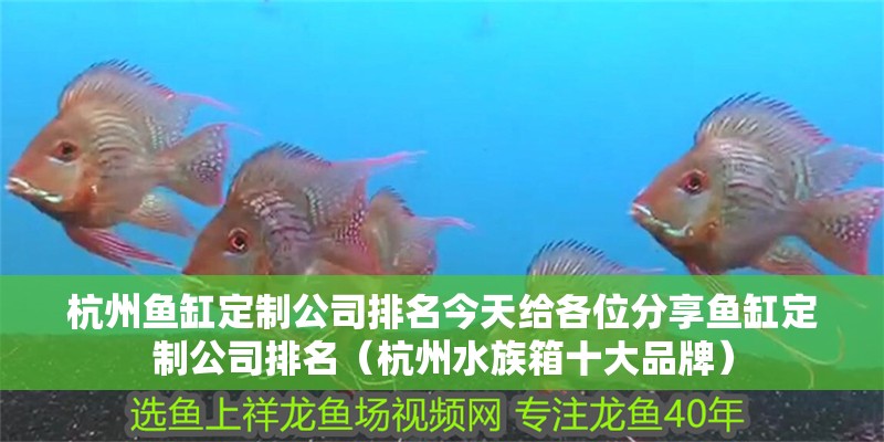 杭州魚缸定制公司排名今天給各位分享魚缸定制公司排名（杭州水族箱十大品牌）