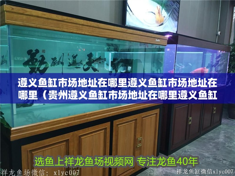 遵義魚缸市場地址在哪里遵義魚缸市場地址在哪里（貴州遵義魚缸市場地址在哪里遵義魚缸市場地址在哪里）