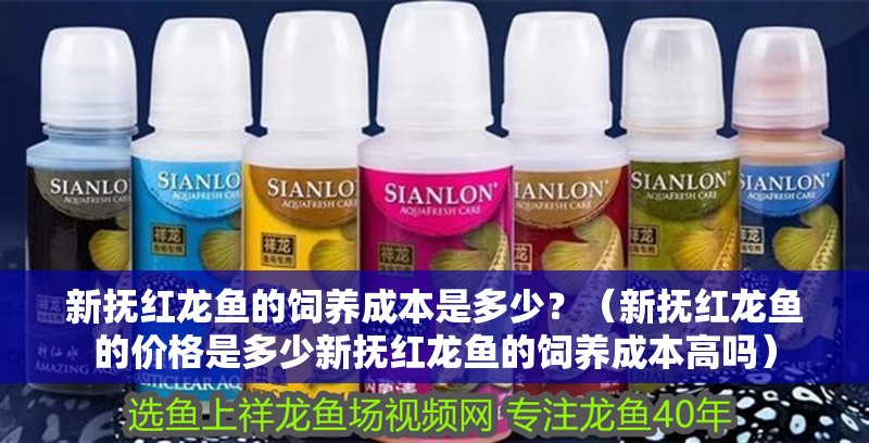 新?lián)峒t龍魚的飼養(yǎng)成本是多少？（新?lián)峒t龍魚的價(jià)格是多少新?lián)峒t龍魚的飼養(yǎng)成本高嗎）