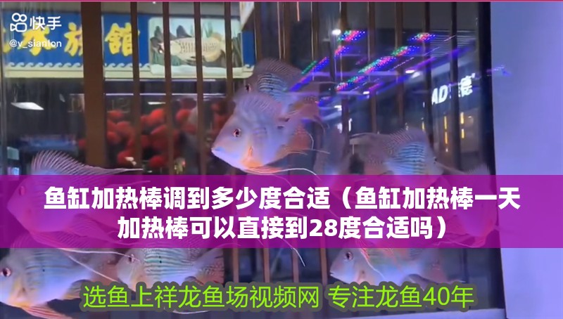 魚缸加熱棒調(diào)到多少度合適（魚缸加熱棒一天加熱棒可以直接到28度合適嗎） 魚缸加熱棒調(diào)到多少度合適（魚缸加熱棒一天加熱棒可以直接到28度合適嗎） 觀賞魚百科 第3張