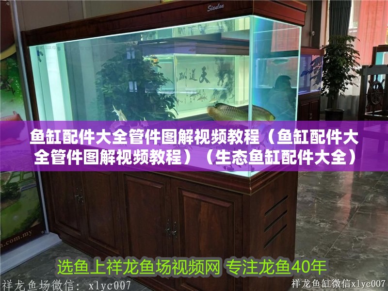 魚缸配件大全管件圖解視頻教程（魚缸配件大全管件圖解視頻教程）（生態魚缸配件大全） 魚缸配件大全管件圖解視頻教程（魚缸配件大全管件圖解視頻教程）（生態魚缸配件大全） 觀賞魚百科