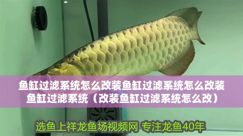 魚缸過濾系統(tǒng)怎么改裝魚缸過濾系統(tǒng)怎么改裝魚缸過濾系統(tǒng)（改裝魚缸過濾系統(tǒng)怎么改）