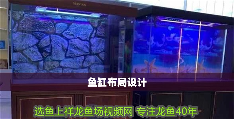 魚缸布局設(shè)計(jì)
