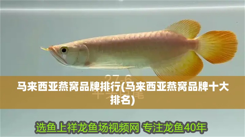 馬來西亞燕窩品牌排行(馬來西亞燕窩品牌十大排名)