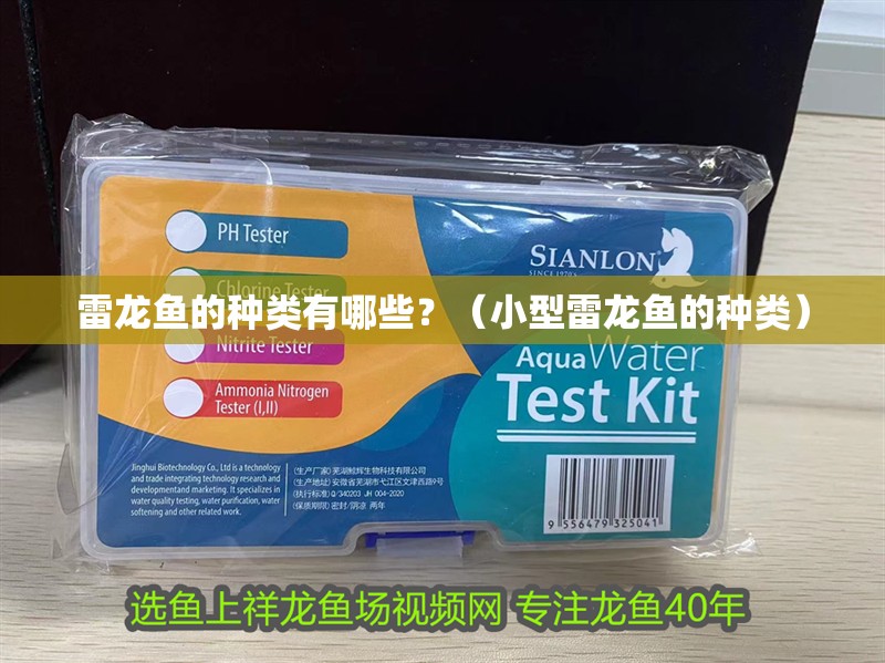 雷龍魚的種類有哪些？（小型雷龍魚的種類） 雷龍魚的種類有哪些？（小型雷龍魚的種類） 觀賞魚百科 第2張