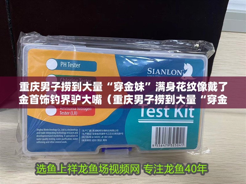 重慶男子撈到大量“穿金妹”滿身花紋像戴了金首飾釣界驢大嘴（重慶男子撈到大量“穿金妹”） 重慶男子撈到大量“穿金妹”滿身花紋像戴了金首飾釣界驢大嘴（重慶男子撈到大量“穿金妹”） 觀賞魚百科 第5張