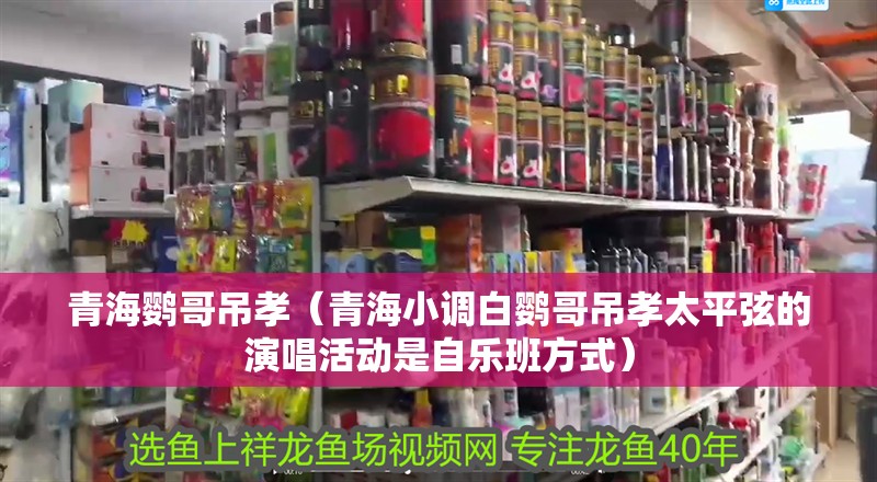 <strong><mark>青海</mark></strong>鸚哥吊孝（<strong><mark>青海</mark></strong>小調(diào)白鸚哥吊孝太平弦的演唱活動是自樂班方式）