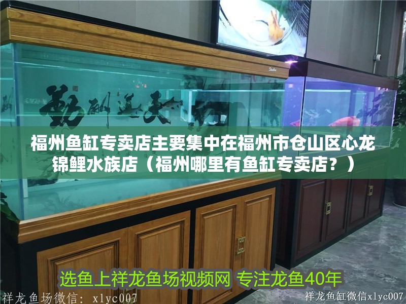 福州魚缸專賣店主要集中在福州市倉山區(qū)心龍錦鯉水族店（福州哪里有魚缸專賣店？） 福州魚缸專賣店主要集中在福州市倉山區(qū)心龍錦鯉水族店（福州哪里有魚缸專賣店？） 觀賞魚百科