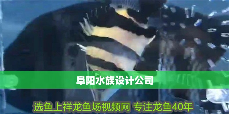 阜陽水族設計公司
