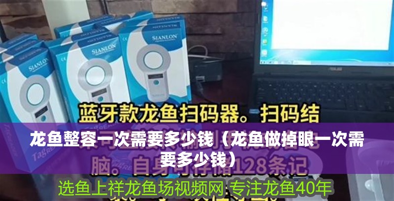 龍魚整容一次需要多少錢（龍魚做掉眼一次需要多少錢）