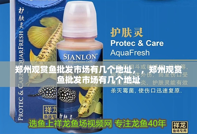 鄭州觀賞魚批發(fā)市場有幾個地址，，鄭州觀賞魚批發(fā)市場有幾個地址