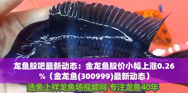 龍魚股吧最新動(dòng)態(tài)：金龍魚股價(jià)小幅上漲0.26%（金龍魚(300999)最新動(dòng)態(tài)）