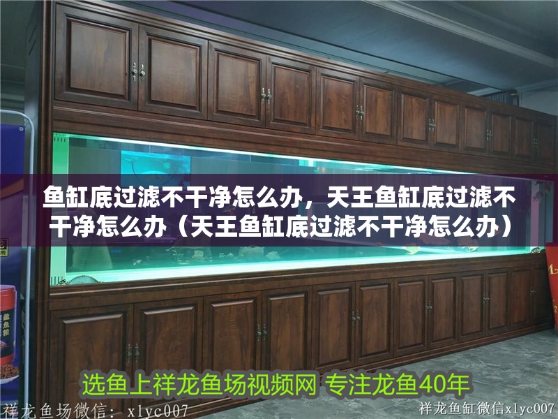魚缸底過濾不干凈怎么辦，天王魚缸底過濾不干凈怎么辦（天王魚缸底過濾不干凈怎么辦）
