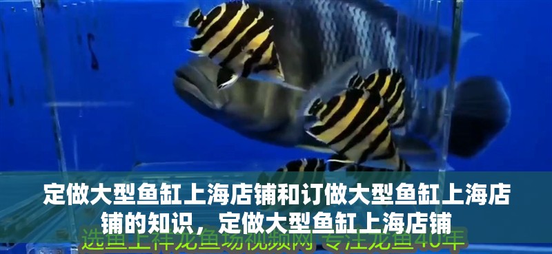 定做大型魚缸上海店鋪和訂做大型魚缸上海店鋪的知識，定做大型魚缸上海店鋪