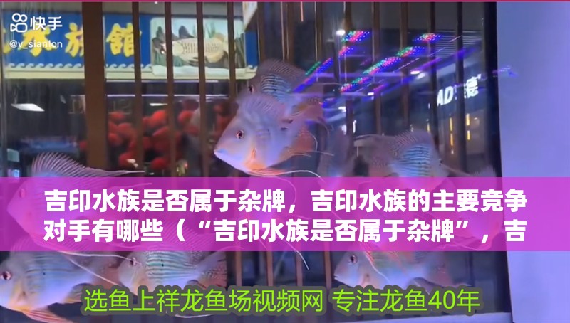 吉印水族是否屬于雜牌，吉印水族的主要競爭對手有哪些（“吉印水族是否屬于雜牌”，吉印水族的主要競爭對手有哪些）