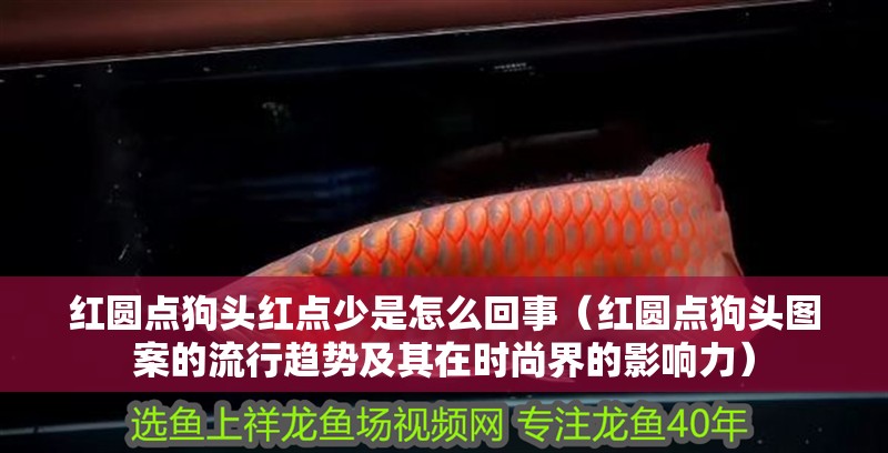 紅圓點狗頭紅點少是怎么回事（紅圓點狗頭圖案的流行趨勢及其在時尚界的影響力）