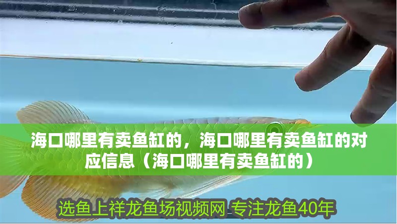 ?？谀睦镉匈u魚缸的，?？谀睦镉匈u魚缸的對應信息（海口哪里有賣魚缸的） 海口哪里有賣魚缸的，海口哪里有賣魚缸的對應信息（海口哪里有賣魚缸的） 觀賞魚百科 第2張