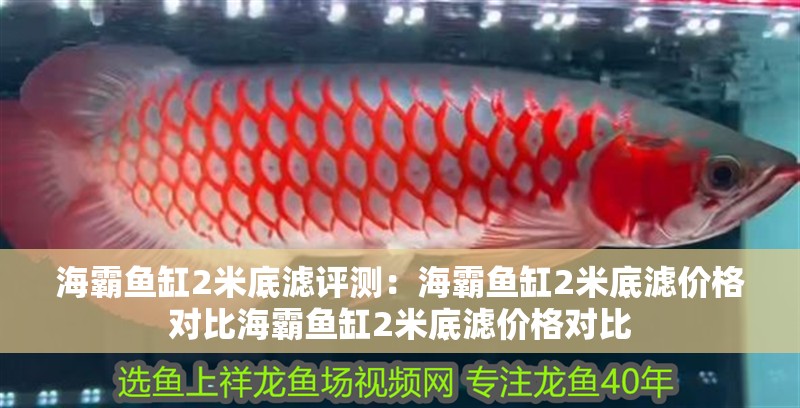 海霸魚缸2米底濾評測：海霸魚缸2米底濾價格對比海霸魚缸2米底濾價格對比