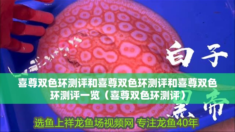 喜尊雙色環測評和喜尊雙色環測評和喜尊雙色環測評一覽（喜尊雙色環測評）