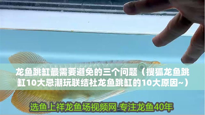 龍魚跳缸最需要避免的三個問題（搜狐龍魚跳缸10大忌潮玩聯結社龍魚跳缸的10大原因~）