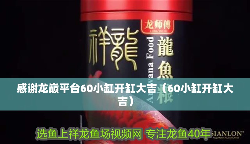 感謝龍巔平臺60小缸開缸大吉（60小缸開缸大吉） 感謝龍巔平臺60小缸開缸大吉（60小缸開缸大吉） 觀賞魚百科