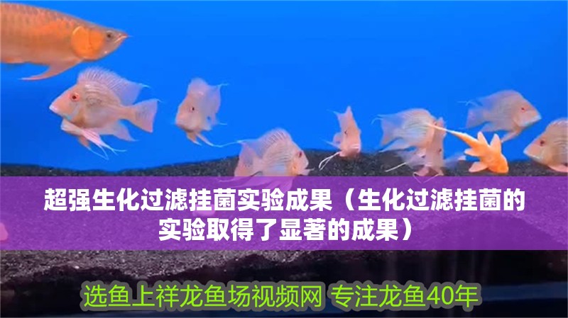 超強(qiáng)生化過(guò)濾掛菌實(shí)驗(yàn)成果（生化過(guò)濾掛菌的實(shí)驗(yàn)取得了顯著的成果）