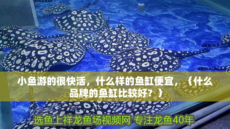 小魚游的很快活，什么樣的魚缸便宜，（什么品牌的魚缸比較好？）