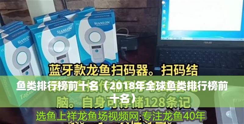 魚類排行榜前十名（2018年全球魚類排行榜前十名）
